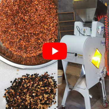 Mini Seeds Color Sorter Machine in Customer