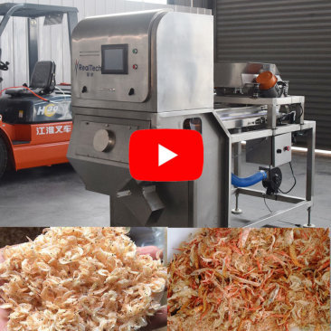 Dried Shrimp Color Sorting Machine in Customer