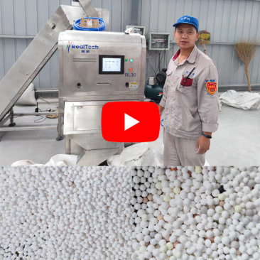 Alumina Ball Color Sorter in Customer