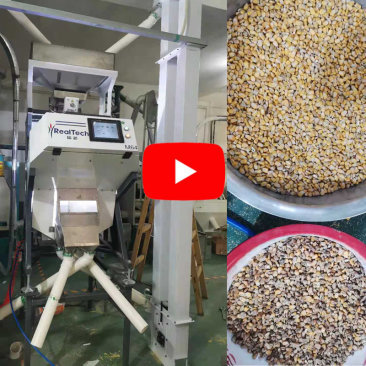 Corn Color Sorter Machine with 64 Channels